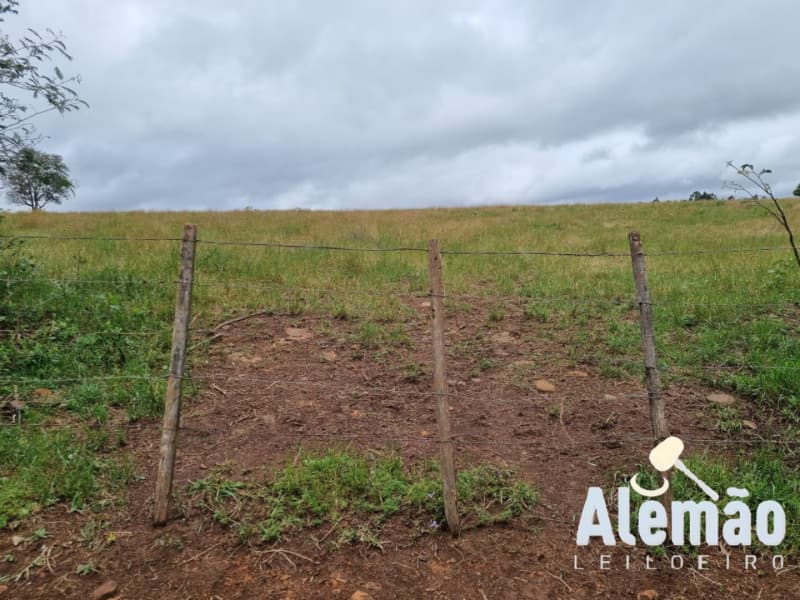 Foto 9 de 29: Terreno em leilão em Arroio Do Tigre - RS — LOTE 003 imóvel