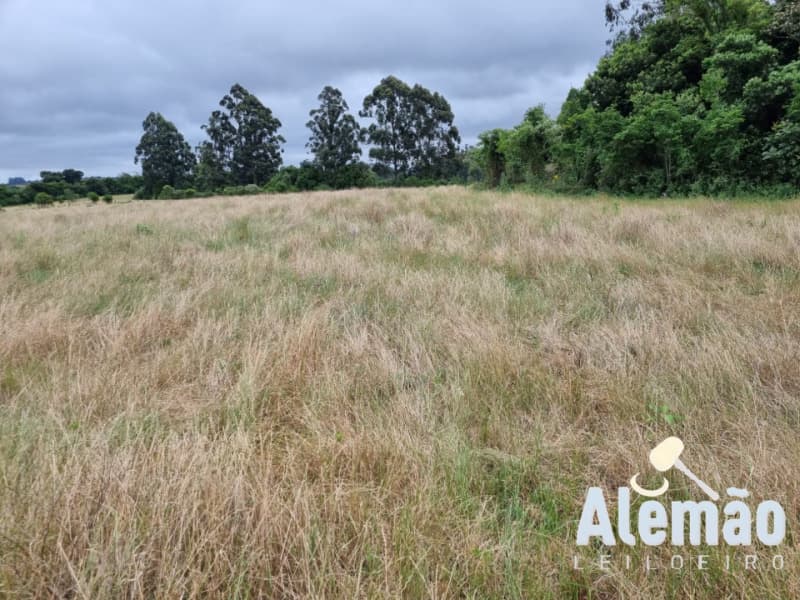 Foto 10 de 29: Terreno em leilão em Arroio Do Tigre - RS — LOTE 003 imóvel