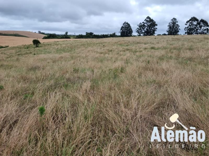 Foto 11 de 29: Terreno em leilão em Arroio Do Tigre - RS — LOTE 003 imóvel