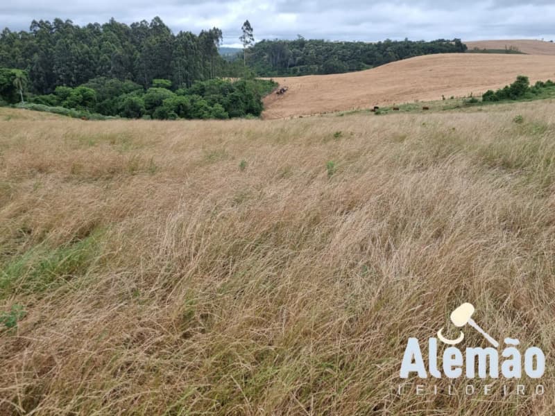 Foto 12 de 29: Terreno em leilão em Arroio Do Tigre - RS — LOTE 003 imóvel
