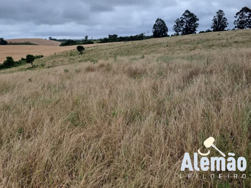 Foto 13 de 29: Terreno em leilão em Arroio Do Tigre - RS — LOTE 003 imóvel