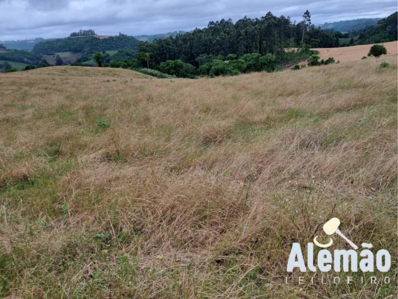 Foto 15 de 29: Terreno em leilão em Arroio Do Tigre - RS — LOTE 003 imóvel