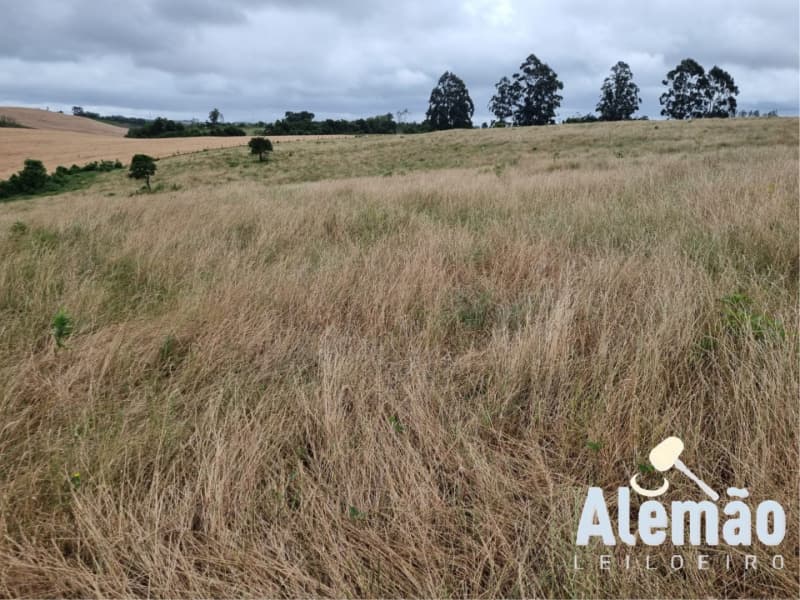 Foto 16 de 29: Terreno em leilão em Arroio Do Tigre - RS — LOTE 003 imóvel