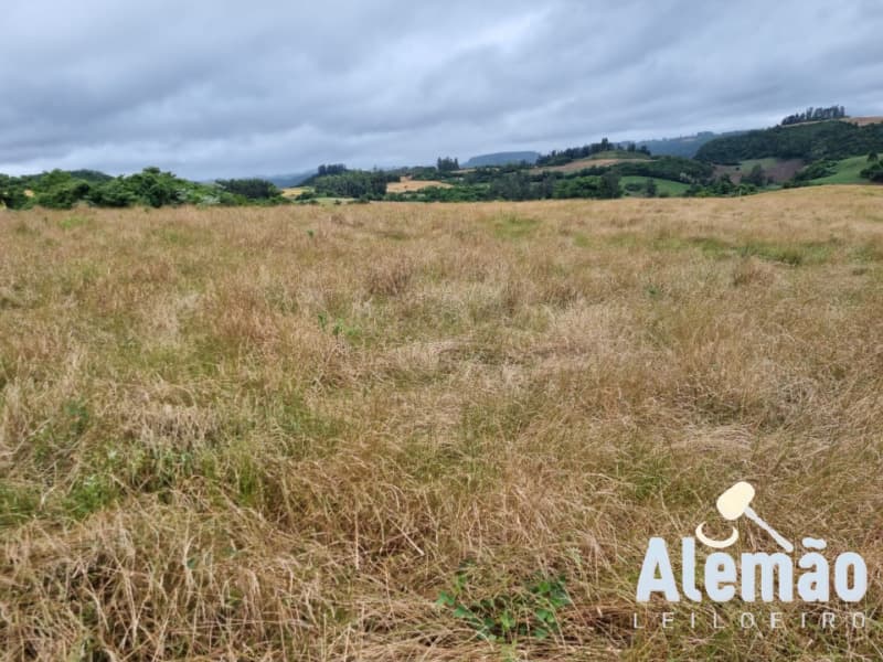 Foto 17 de 29: Terreno em leilão em Arroio Do Tigre - RS — LOTE 003 imóvel