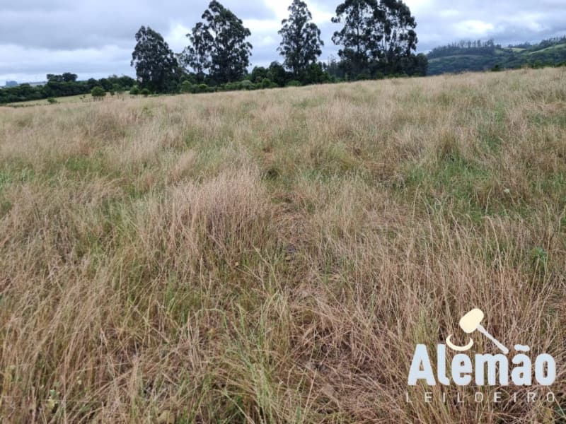 Foto 18 de 29: Terreno em leilão em Arroio Do Tigre - RS — LOTE 003 imóvel