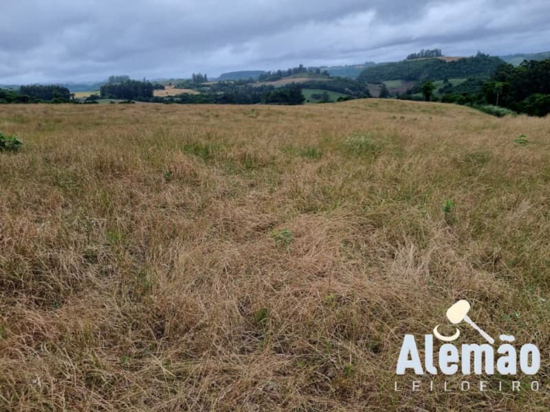 Foto 20 de 29: Terreno em leilão em Arroio Do Tigre - RS — LOTE 003 imóvel