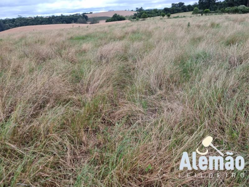 Foto 21 de 29: Terreno em leilão em Arroio Do Tigre - RS — LOTE 003 imóvel