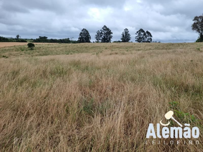 Foto 22 de 29: Terreno em leilão em Arroio Do Tigre - RS — LOTE 003 imóvel