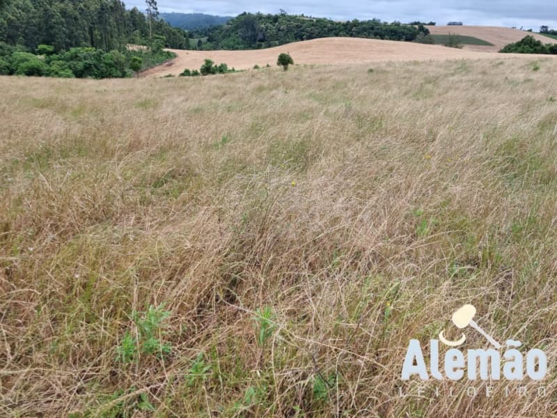 Foto 23 de 29: Terreno em leilão em Arroio Do Tigre - RS — LOTE 003 imóvel