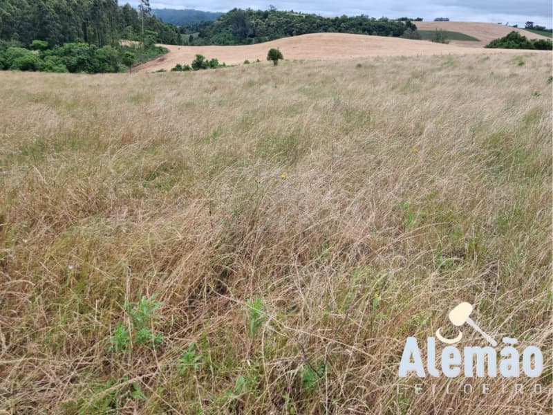 Foto 24 de 29: Terreno em leilão em Arroio Do Tigre - RS — LOTE 003 imóvel
