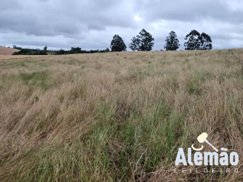 Foto 25 de 29: Terreno em leilão em Arroio Do Tigre - RS — LOTE 003 imóvel