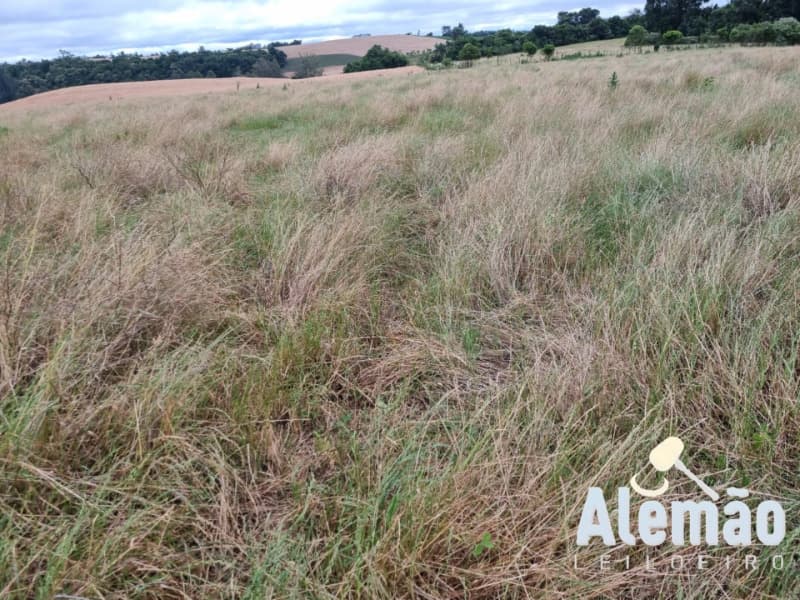 Foto 26 de 29: Terreno em leilão em Arroio Do Tigre - RS — LOTE 003 imóvel