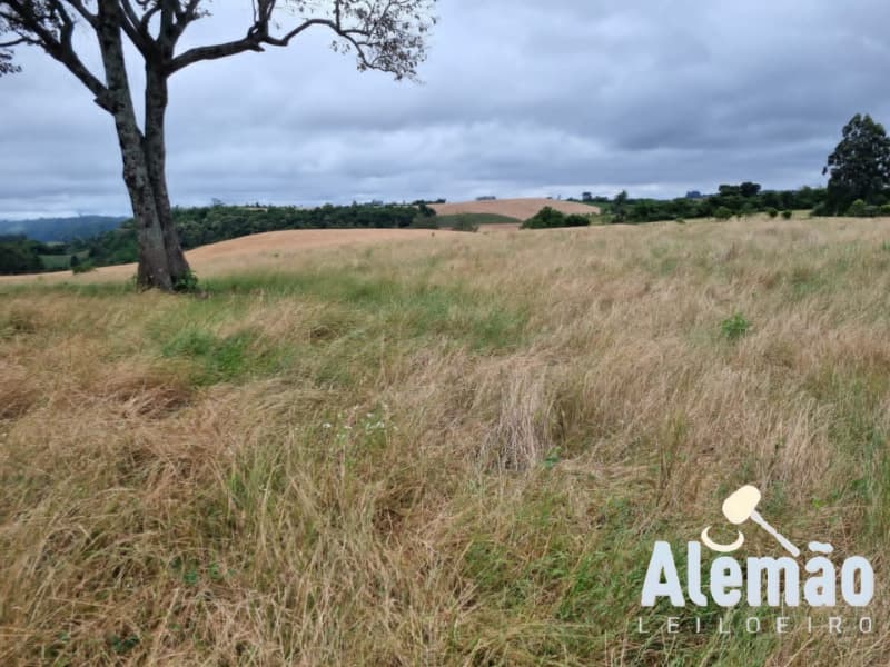 Foto 27 de 29: Terreno em leilão em Arroio Do Tigre - RS — LOTE 003 imóvel