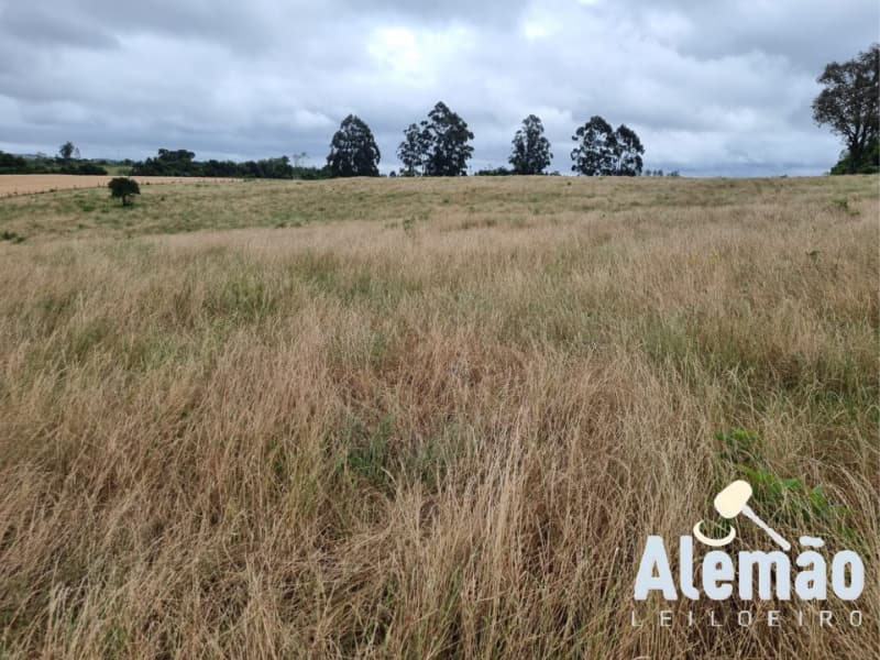 Foto 28 de 29: Terreno em leilão em Arroio Do Tigre - RS — LOTE 003 imóvel