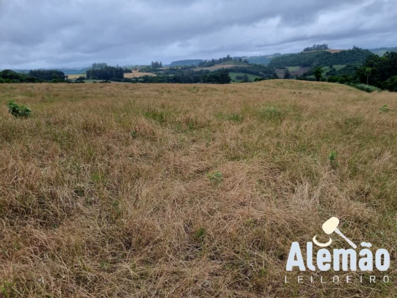 Foto 29 de 29: Terreno em leilão em Arroio Do Tigre - RS — LOTE 003 imóvel