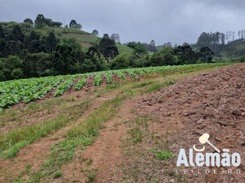 Foto 5 de 35: Terreno em leilão em Barros Cassal - RS — LOTE 005 Imóvel