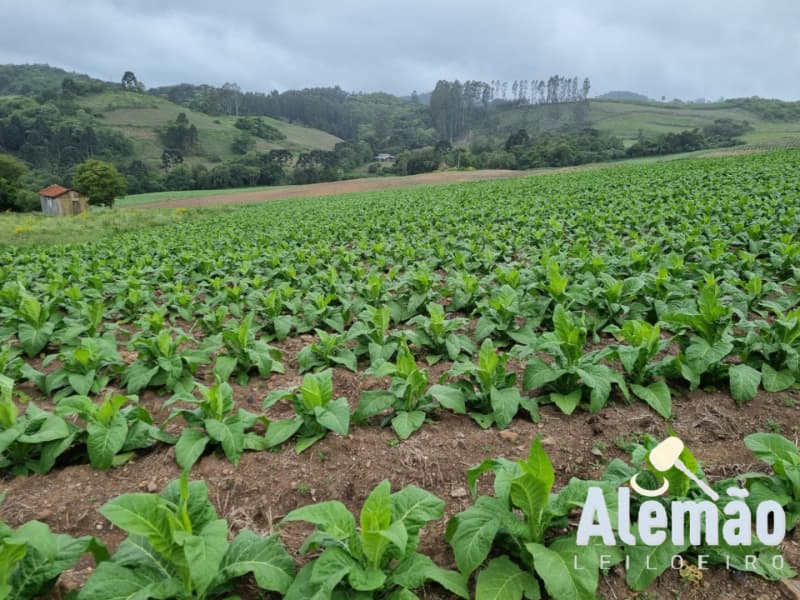 Foto 6 de 35: Terreno em leilão em Barros Cassal - RS — LOTE 005 Imóvel