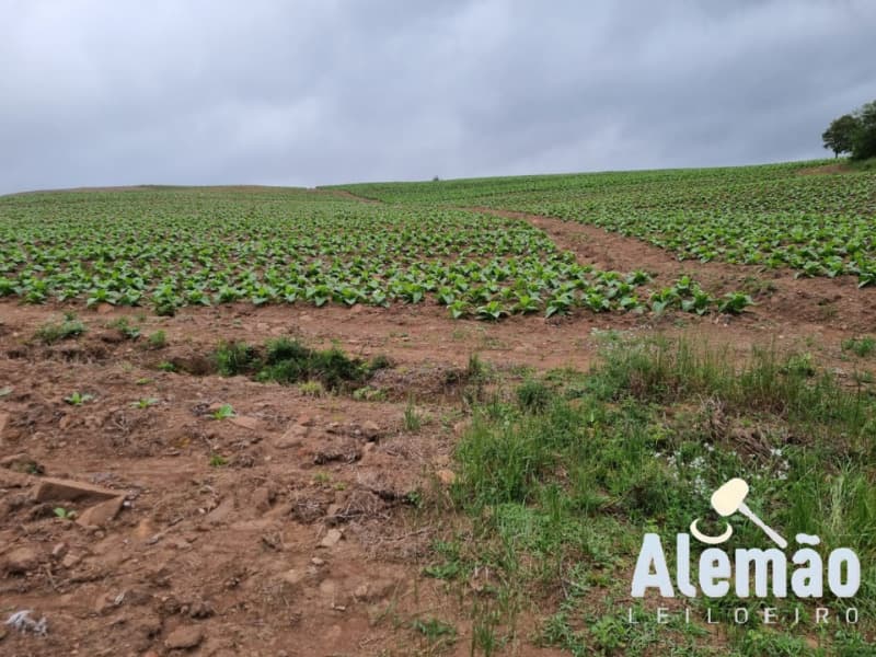 Foto 9 de 35: Terreno em leilão em Barros Cassal - RS — LOTE 005 Imóvel