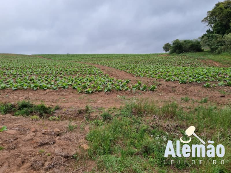 Foto 15 de 35: Terreno em leilão em Barros Cassal - RS — LOTE 005 Imóvel
