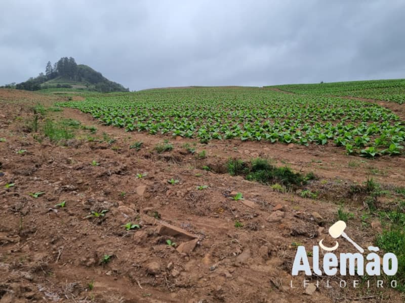 Foto 16 de 35: Terreno em leilão em Barros Cassal - RS — LOTE 005 Imóvel
