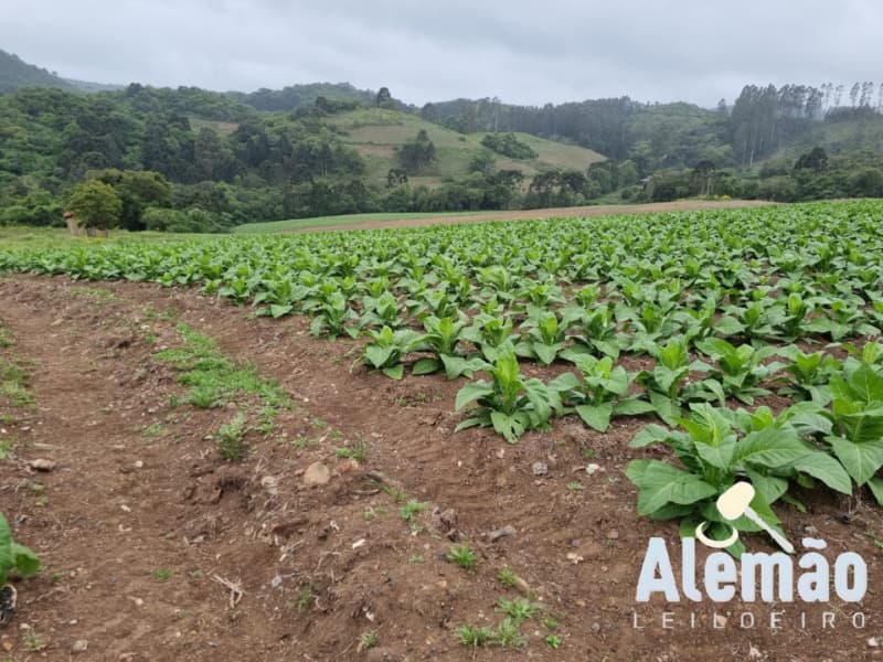 Foto 21 de 35: Terreno em leilão em Barros Cassal - RS — LOTE 005 Imóvel