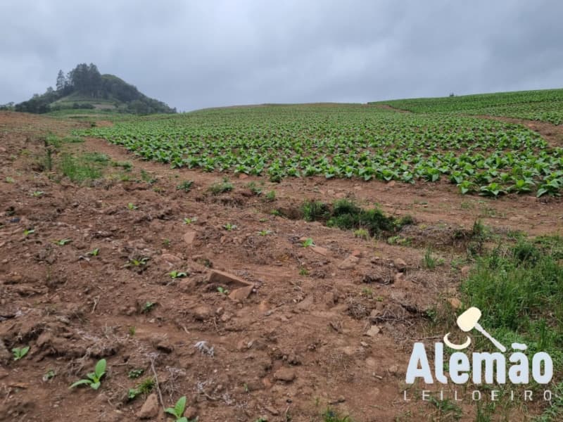 Foto 23 de 35: Terreno em leilão em Barros Cassal - RS — LOTE 005 Imóvel