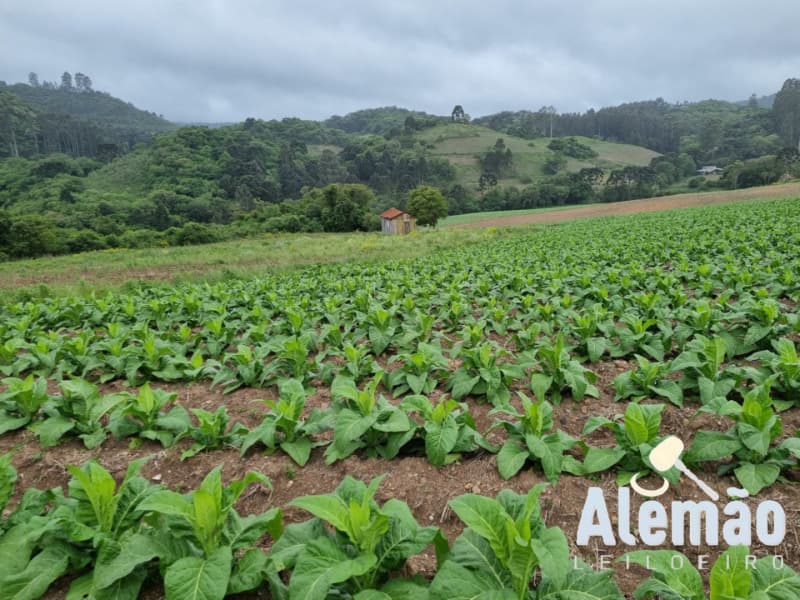 Foto 32 de 35: Terreno em leilão em Barros Cassal - RS — LOTE 005 Imóvel