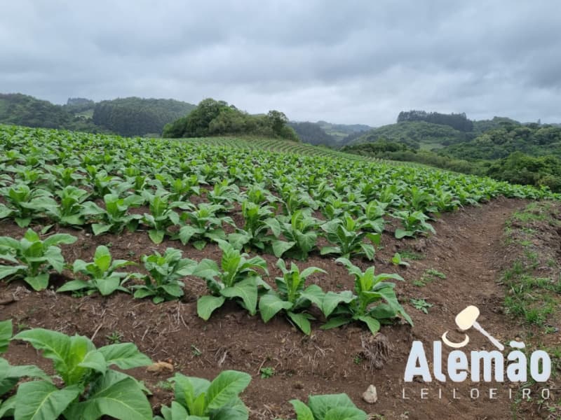 Foto 33 de 35: Terreno em leilão em Barros Cassal - RS — LOTE 005 Imóvel