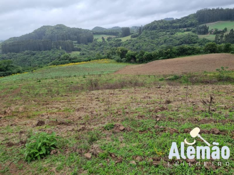 Foto 7 de 22: Area Rural em leilão em Barros Cassal - RS — LOTE 006 imóvel