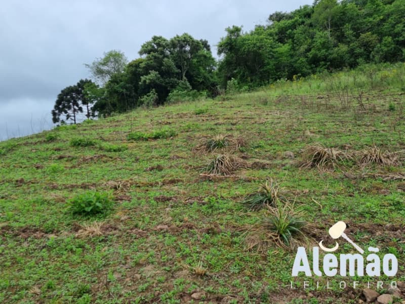 Foto 19 de 22: Area Rural em leilão em Barros Cassal - RS — LOTE 006 imóvel