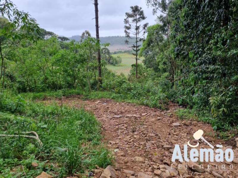 Foto 2 de 31: Terreno em leilão em Barros Cassal - RS — LOTE 007 imóvel