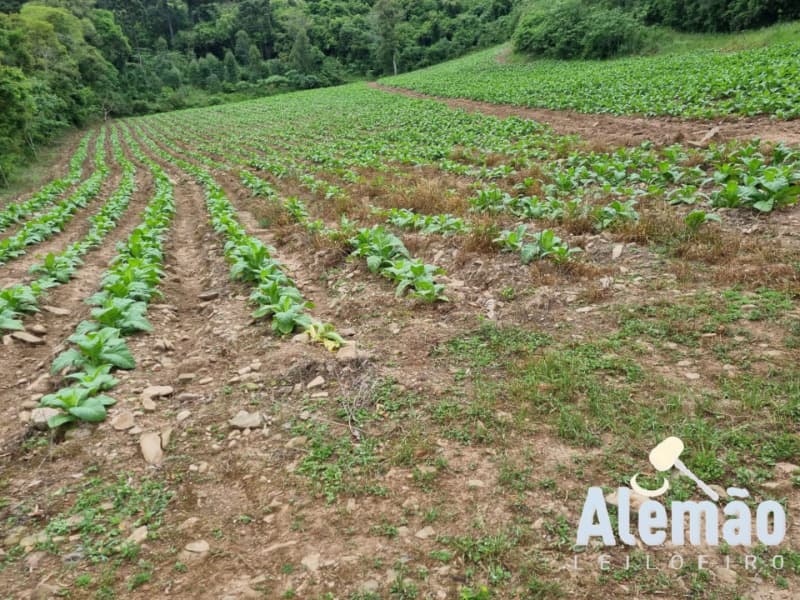Foto 3 de 31: Terreno em leilão em Barros Cassal - RS — LOTE 007 imóvel
