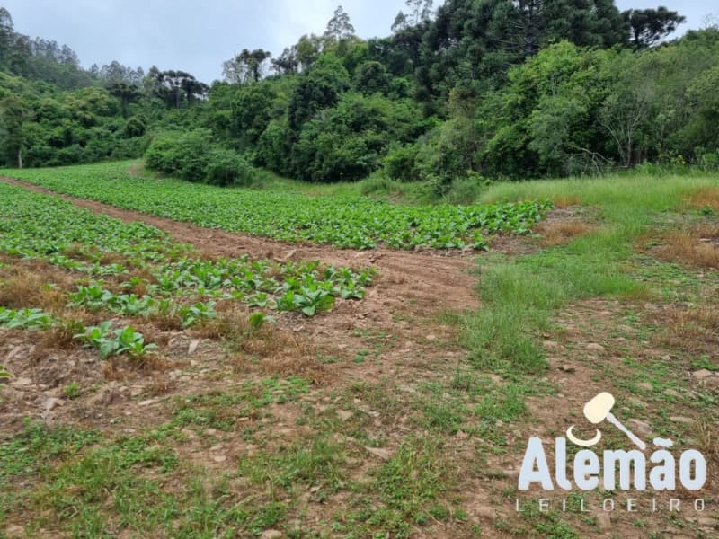 Foto 5 de 31: Terreno em leilão em Barros Cassal - RS — LOTE 007 imóvel