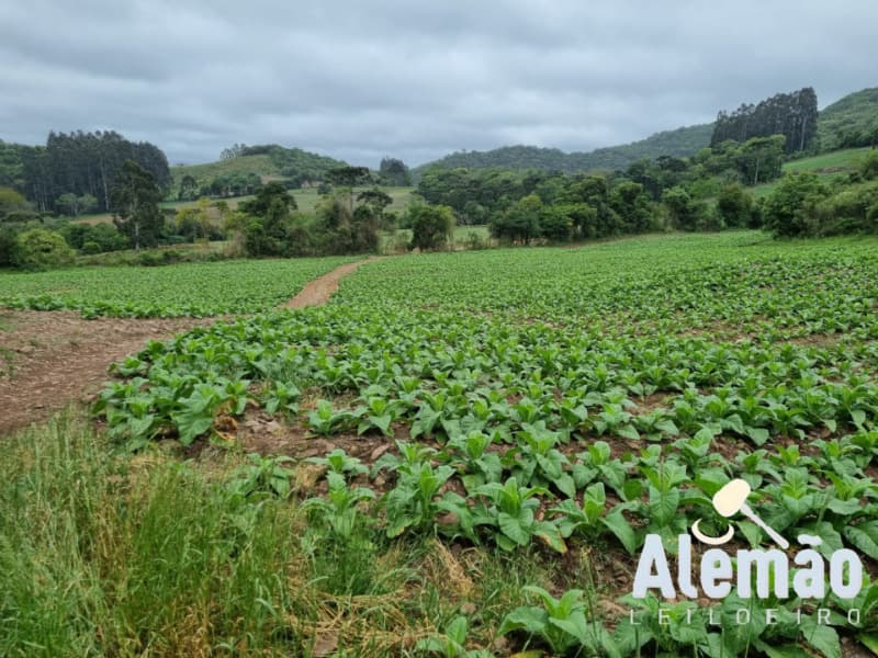 Foto 7 de 31: Terreno em leilão em Barros Cassal - RS — LOTE 007 imóvel