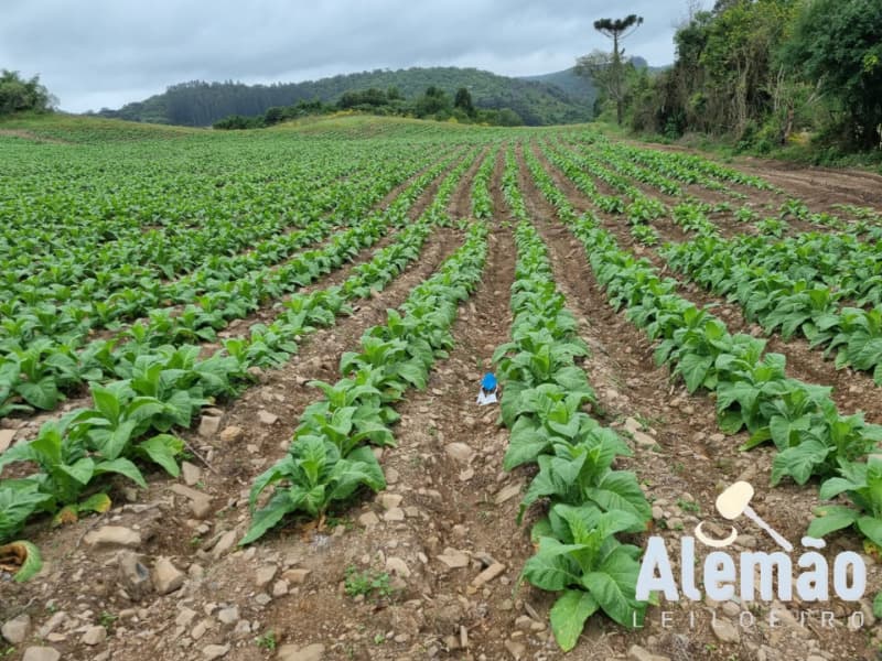 Foto 9 de 31: Terreno em leilão em Barros Cassal - RS — LOTE 007 imóvel
