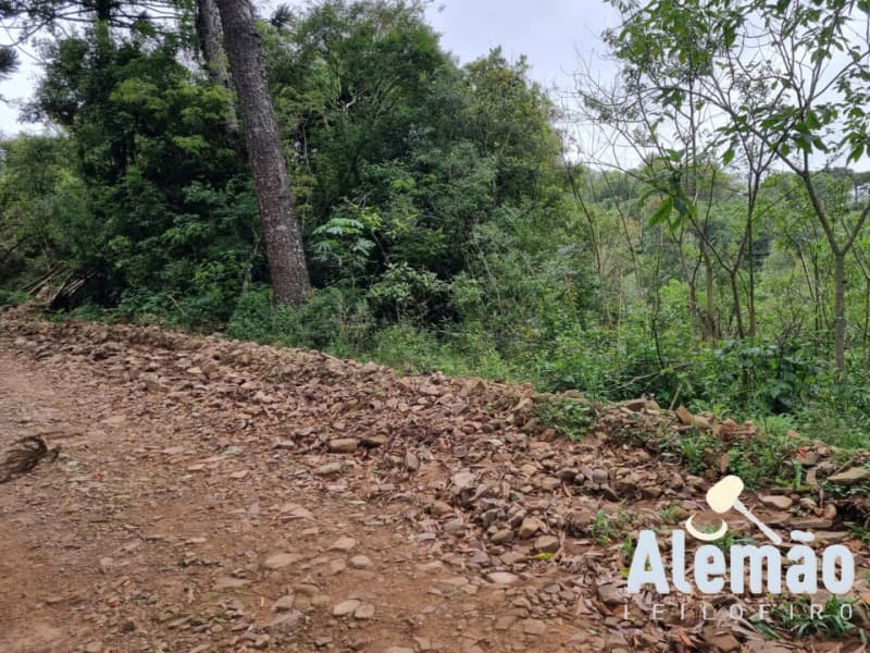 Foto 10 de 31: Terreno em leilão em Barros Cassal - RS — LOTE 007 imóvel