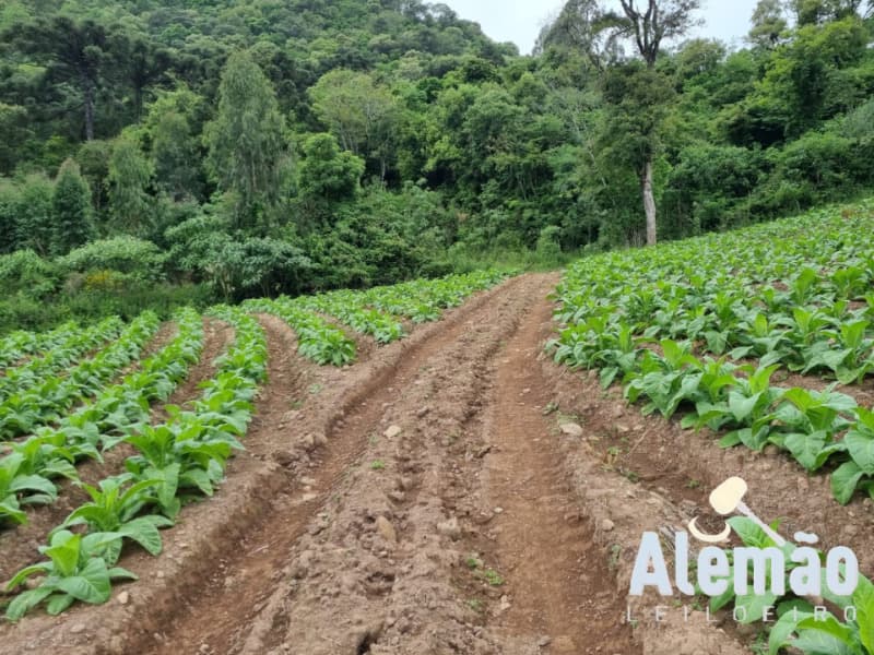 Foto 12 de 31: Terreno em leilão em Barros Cassal - RS — LOTE 007 imóvel