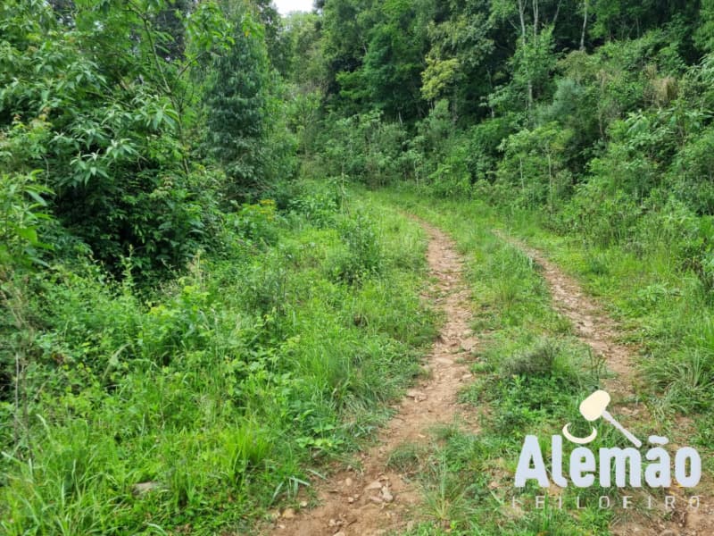 Foto 16 de 31: Terreno em leilão em Barros Cassal - RS — LOTE 007 imóvel