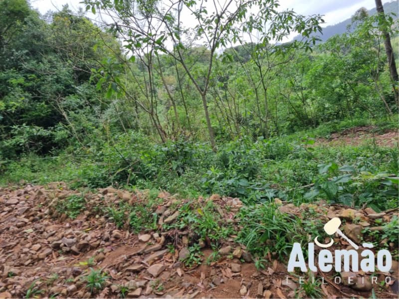 Foto 26 de 31: Terreno em leilão em Barros Cassal - RS — LOTE 007 imóvel
