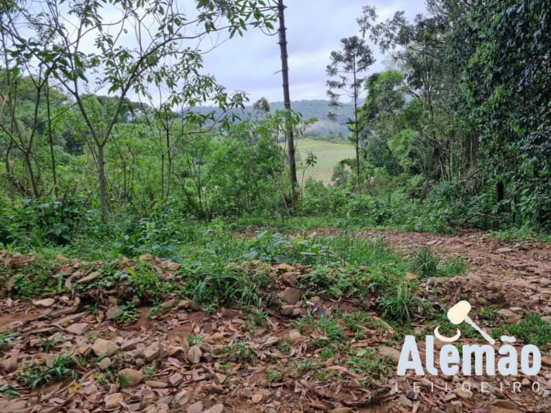 Foto 27 de 31: Terreno em leilão em Barros Cassal - RS — LOTE 007 imóvel