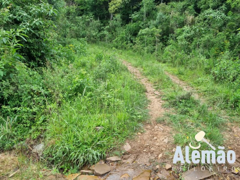 Foto 30 de 31: Terreno em leilão em Barros Cassal - RS — LOTE 007 imóvel
