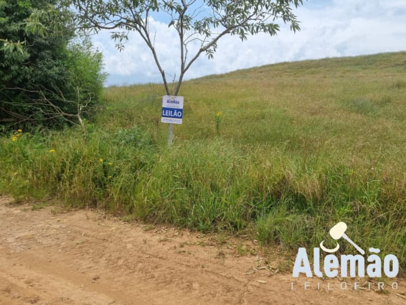 Foto 2 de 46: Area Rural em leilão em Ibirapuitã - RS — LOTE 010 imóvel