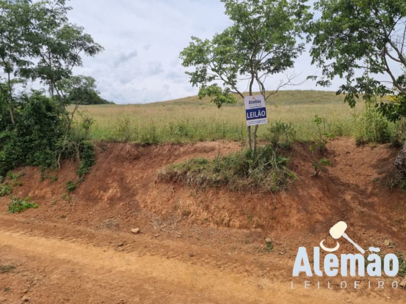 Foto 4 de 46: Area Rural em leilão em Ibirapuitã - RS — LOTE 010 imóvel