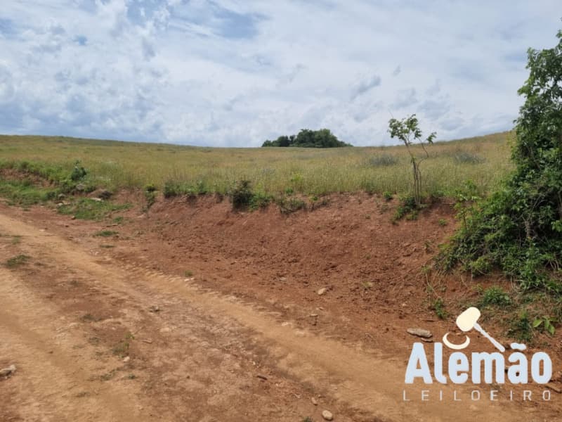 Foto 5 de 46: Area Rural em leilão em Ibirapuitã - RS — LOTE 010 imóvel