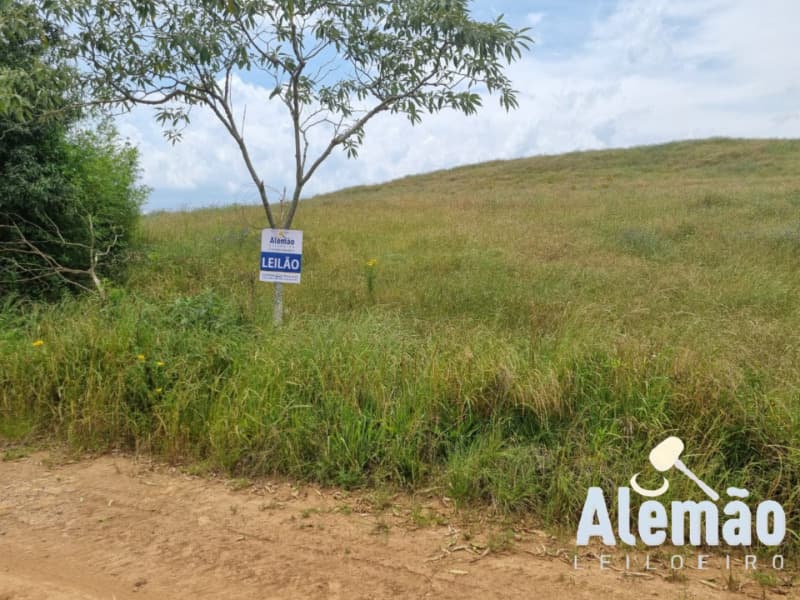 Foto 9 de 46: Area Rural em leilão em Ibirapuitã - RS — LOTE 010 imóvel