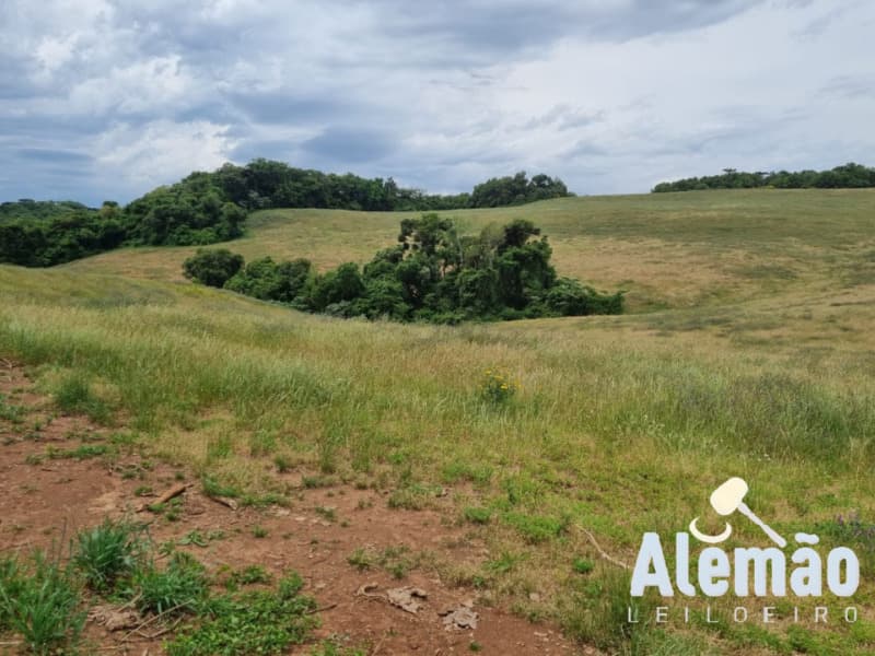 Foto 17 de 46: Area Rural em leilão em Ibirapuitã - RS — LOTE 010 imóvel