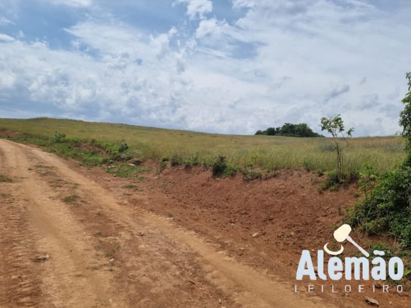 Foto 25 de 46: Area Rural em leilão em Ibirapuitã - RS — LOTE 010 imóvel