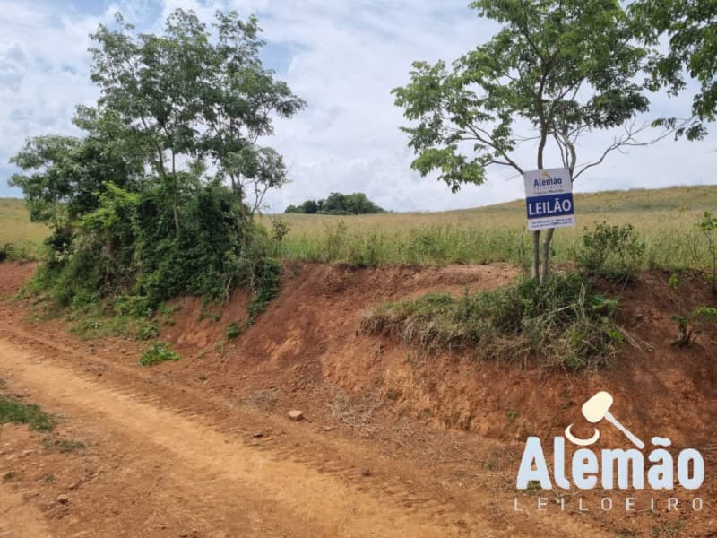 Foto 29 de 46: Area Rural em leilão em Ibirapuitã - RS — LOTE 010 imóvel