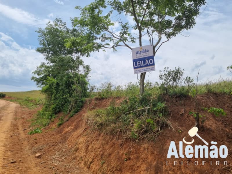 Foto 31 de 46: Area Rural em leilão em Ibirapuitã - RS — LOTE 010 imóvel