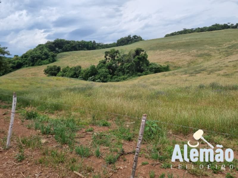 Foto 41 de 46: Area Rural em leilão em Ibirapuitã - RS — LOTE 010 imóvel
